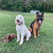 472930307_566423646303735_2848774121309643476_n