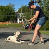 IMG_6540 - Vashti Bishop